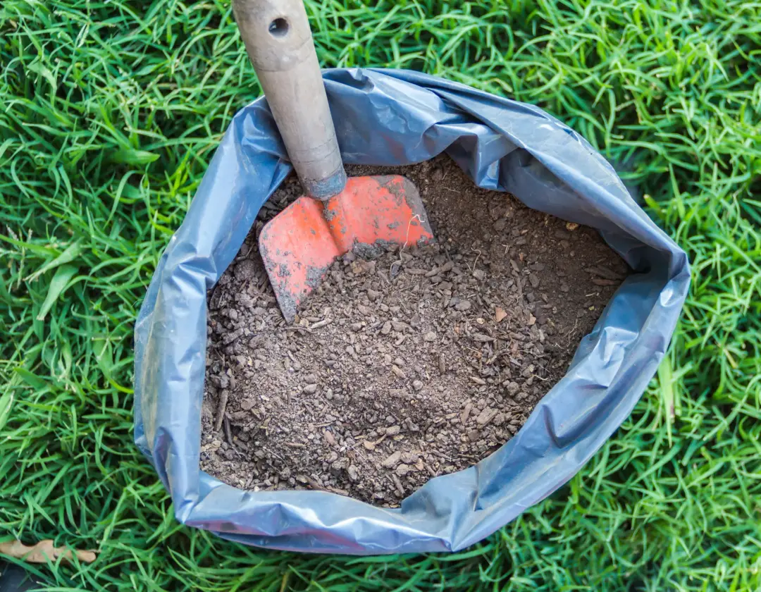 Muck Away Services