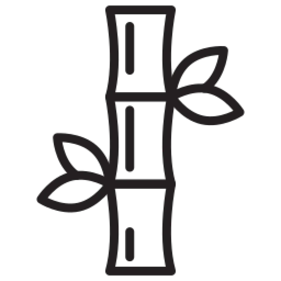 Bamboo icon
