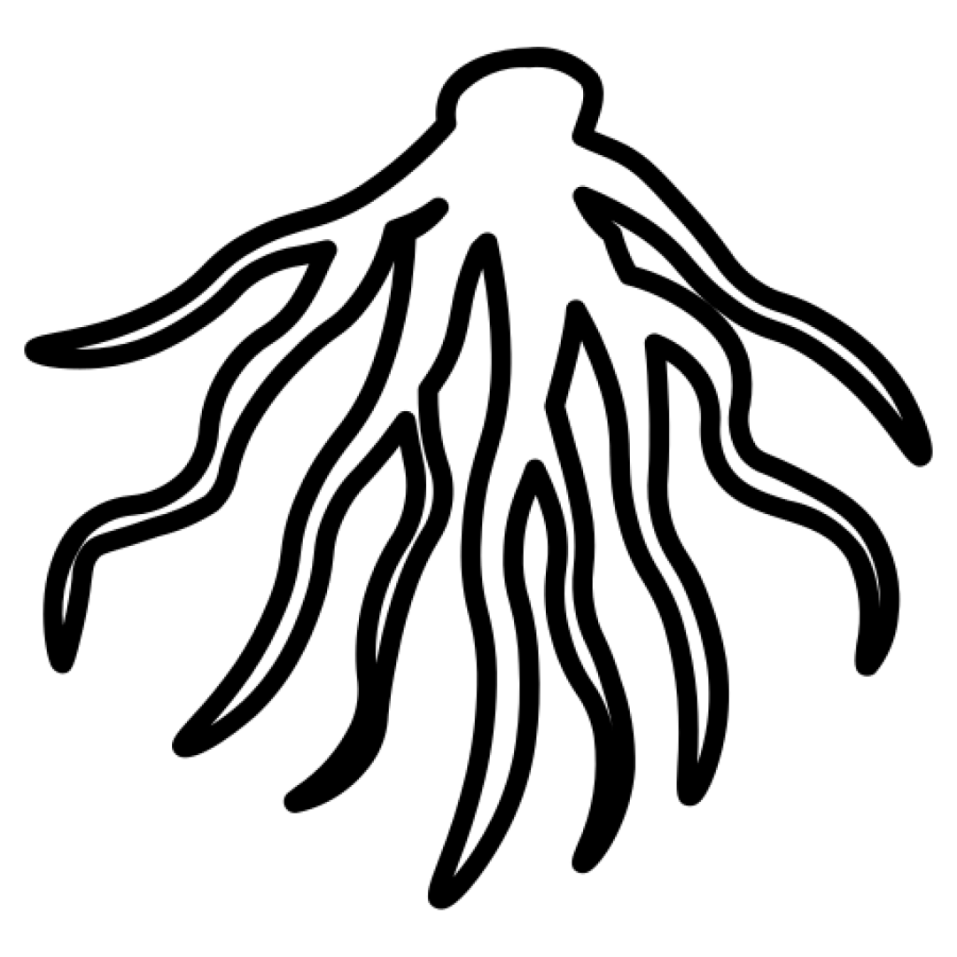 Root Barriers